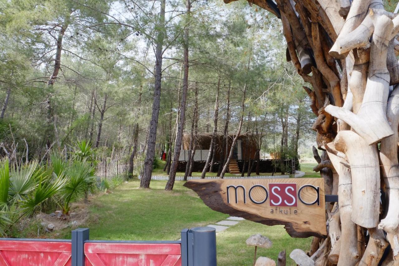 ホテル Mossa Afkule Kayakoey フェティエ エクステリア 写真